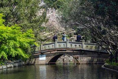 电线年楼盘百科→首页网站→楼盘测评→中心电线小时热线电话九游会J9万科中兴傲舍售楼处电话→万科中兴傲舍售楼中心(图20) 电线年楼盘百科→首页网站→楼盘测评→中心电线小时热线电话九游会J9万科中兴傲舍售楼处电话→万科中兴傲舍售楼中心(图20)