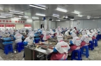 认证：蜜汁烤排骨全国销量第一j9国际站有